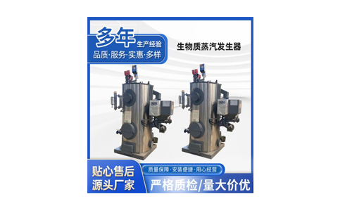 立式生物质蒸汽发生器