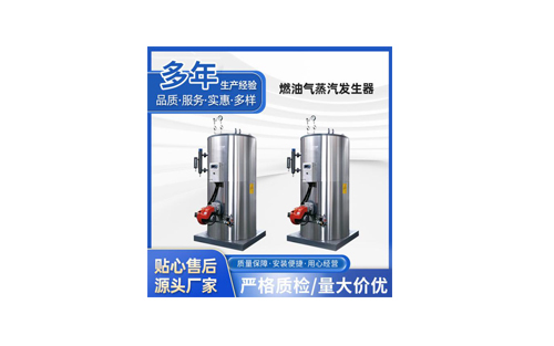 立式燃气蒸汽发生器